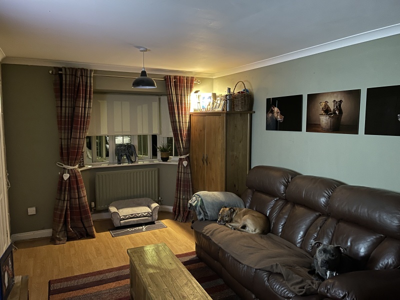 House Paint by Buzzweld Buzzweld Coatings