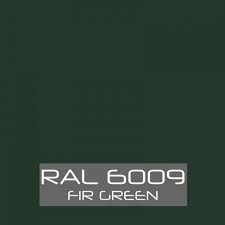 RAL 6009 Fir Green - Rich & Deep Forest Spray Paint