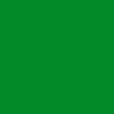 Halvar PU Boat Paint – Shiny Green RAL 6000-6037, For Metal & Wood, Gloss Finish